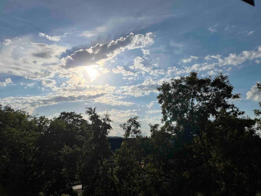 Villa Kunterbunt Gera Bagian luar foto